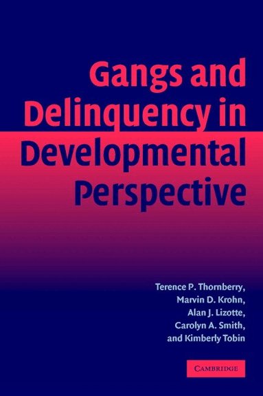 Terence P. Thornberry, Marvin D. Krohn, Alan J. Lizotte, Carolyn A. Smith, Kimberly Tobin - Gangs and Delinquency in Developmental Perspective, Häftad