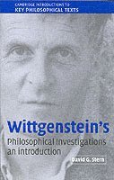 bokomslag Wittgenstein's Philosophical Investigations