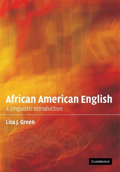bokomslag African American English