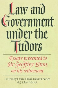 bokomslag Law and Government under the Tudors