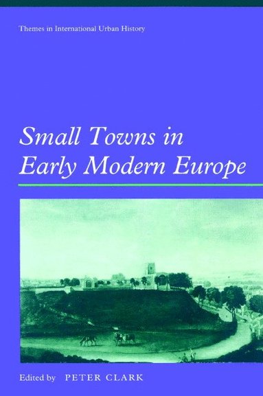bokomslag Small Towns in Early Modern Europe