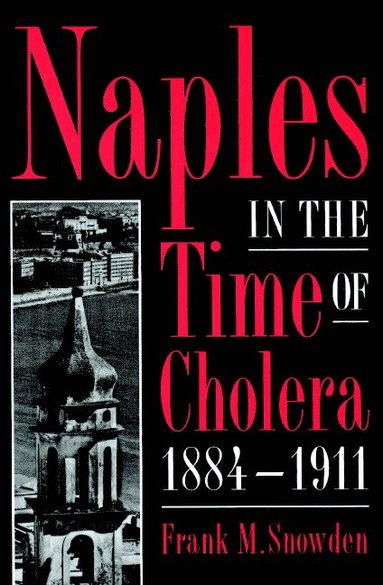 bokomslag Naples in the Time of Cholera, 1884-1911