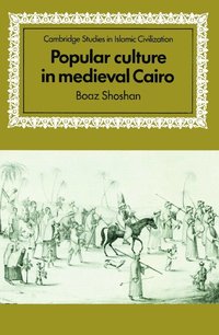 bokomslag Popular Culture in Medieval Cairo