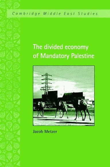 bokomslag The Divided Economy of Mandatory Palestine