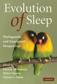 bokomslag Evolution of Sleep