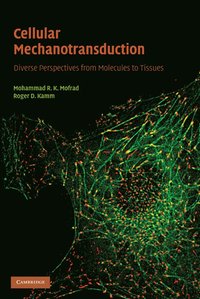 bokomslag Cellular Mechanotransduction