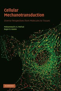 bokomslag Cellular Mechanotransduction