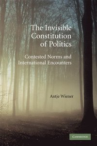 bokomslag The Invisible Constitution of Politics
