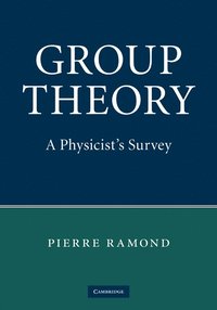 bokomslag Group Theory