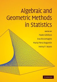 bokomslag Algebraic and Geometric Methods in Statistics
