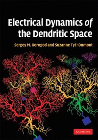 bokomslag Electrical Dynamics of the Dendritic Space