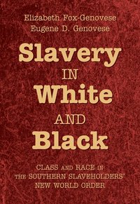 bokomslag Slavery in White and Black