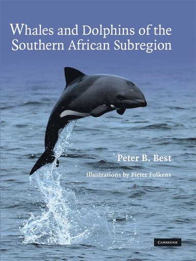 bokomslag Whales and Dolphins of the Southern African Subregion