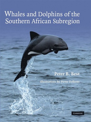 bokomslag Whales and Dolphins of the Southern African Subregion