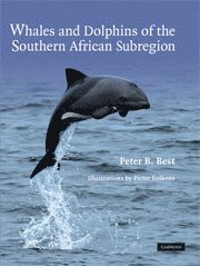 Whales and Dolphins of the Southern African Subregion