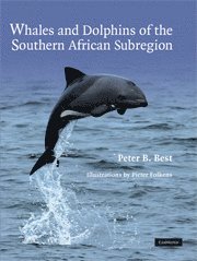 Whales and Dolphins of the Southern African Subregion 1