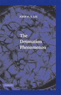 bokomslag The Detonation Phenomenon