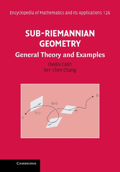 Ovidiu Calin, Der-Chen Chang - Sub-Riemannian Geometry, Inbunden