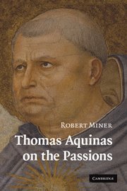 bokomslag Thomas Aquinas on the Passions