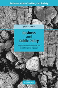 bokomslag Business and Public Policy