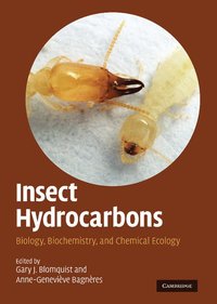bokomslag Insect Hydrocarbons