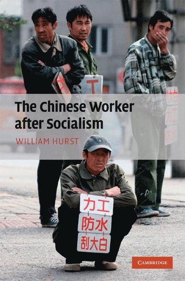 bokomslag The Chinese Worker after Socialism