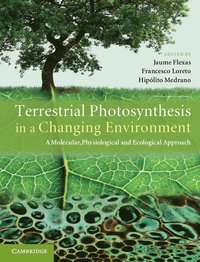 bokomslag Terrestrial Photosynthesis in a Changing Environment