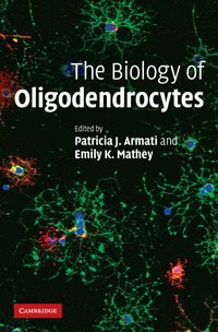 bokomslag The Biology of Oligodendrocytes