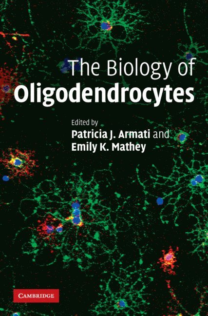 The Biology of Oligodendrocytes 1