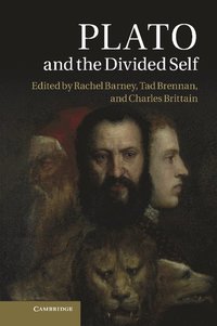 bokomslag Plato and the Divided Self
