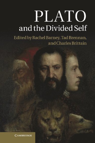 bokomslag Plato and the Divided Self