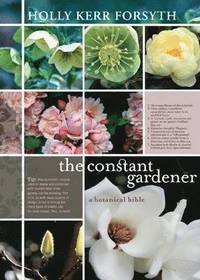 bokomslag The Constant Gardener