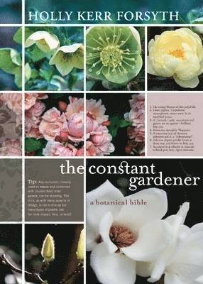 The Constant Gardener 1