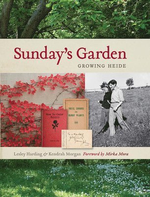 bokomslag Sunday's Garden: Growing Heide
