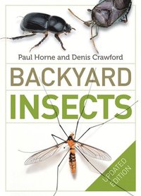 bokomslag Backyard Insects