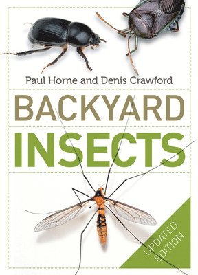 bokomslag Backyard Insects