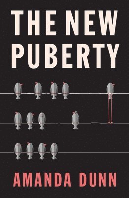 Amanda Dunn - The New Puberty, Häftad