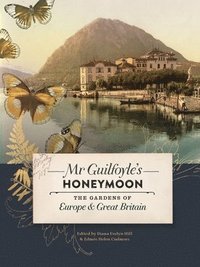 bokomslag Mr Guilfoyle's Honeymoon