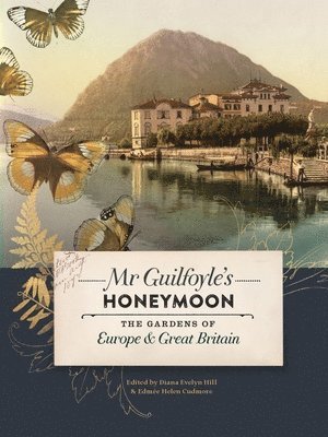Mr Guilfoyle's Honeymoon 1
