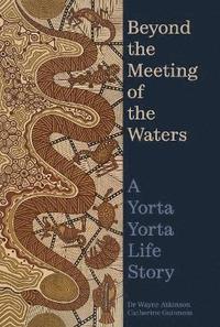 bokomslag Beyond the Meeting of the Waters