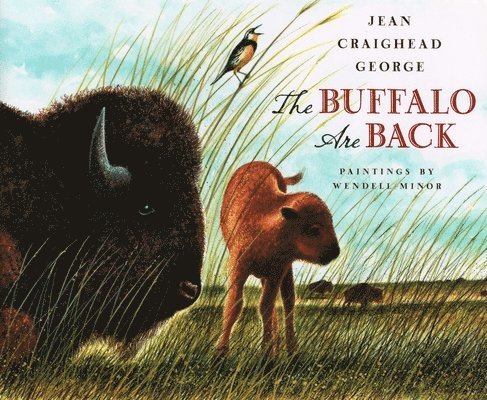 The Buffalo Are Back 1