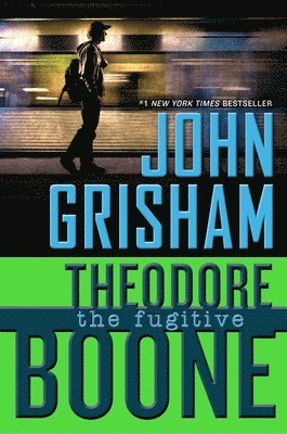 bokomslag Theodore Boone: the Fugitive