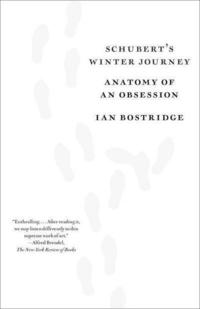 bokomslag Schubert's Winter Journey