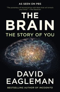 bokomslag The Brain: The Story of You