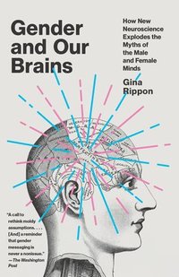 bokomslag Gender and Our Brains: How New Neuroscience Explodes the Myths of the Male and Female Minds
