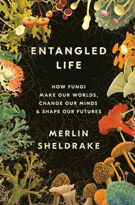 bokomslag Entangled Life: How Fungi Make Our Worlds, Change Our Minds & Shape Our Futures