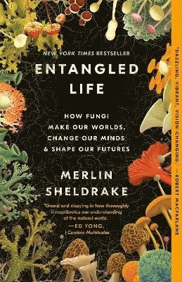 Entangled Life: How Fungi Make Our Worlds, Change Our Minds & Shape Our Futures 1