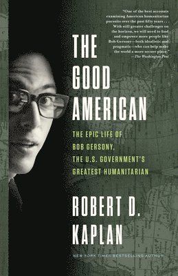 bokomslag The Good American