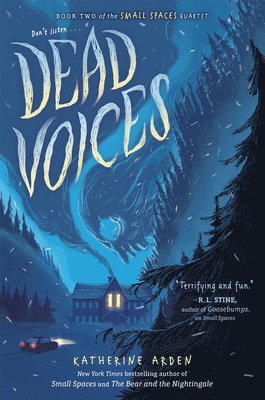 bokomslag Dead Voices