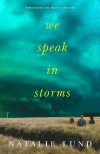 bokomslag We Speak in Storms